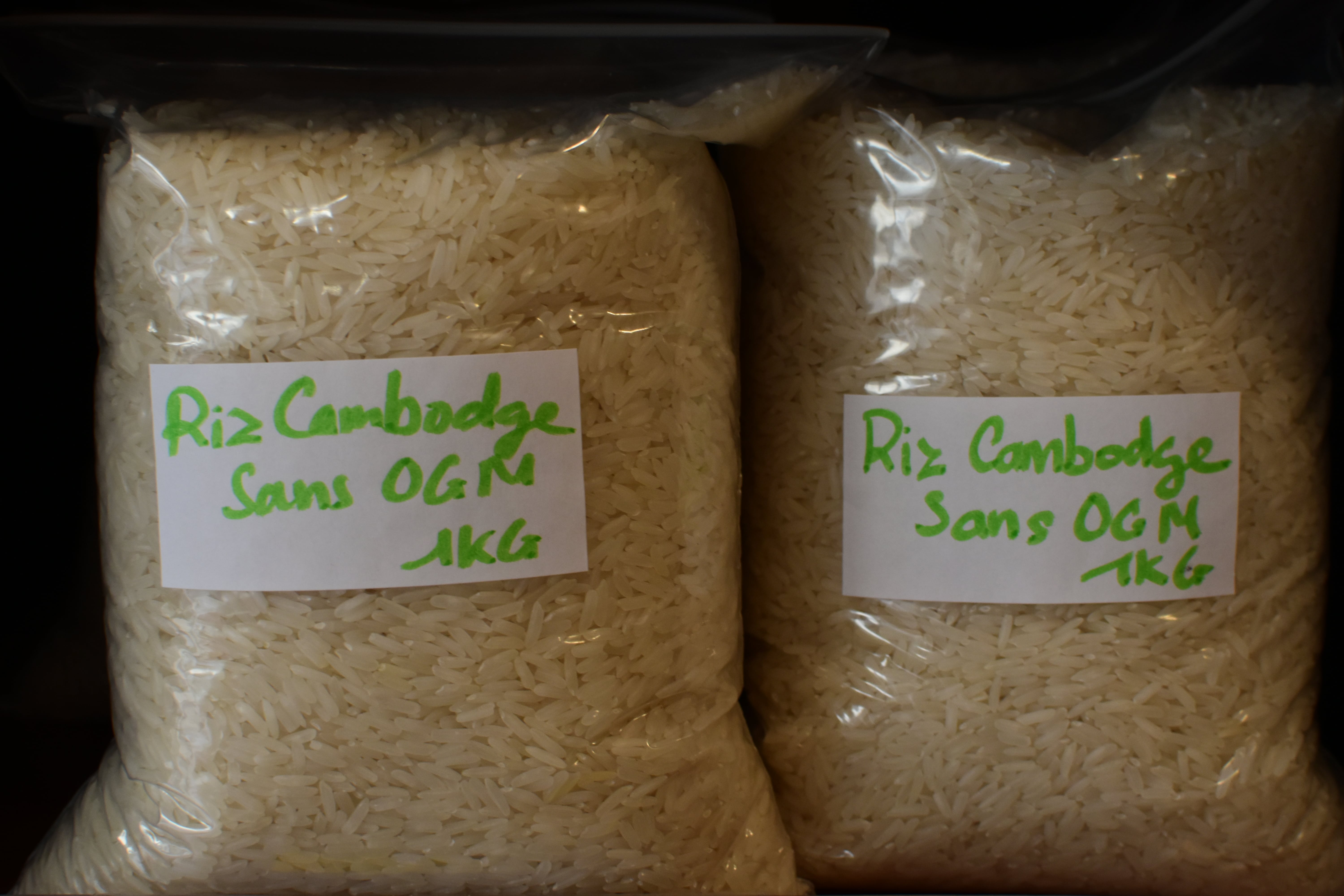 Riz Cambodge sans OGM